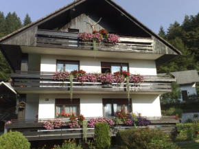 Apartment KLEMEN Bohinjska Bistrica